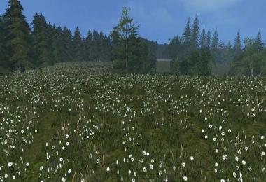 Grass texture v1.0