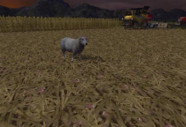 Chopped Corn Texture v1.0