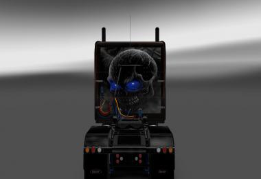 Peterbilt 389 Flame Skin 1.22