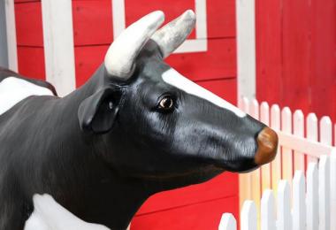 Farming Simulator 17 Coming!