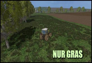 GRASS SOIL TEXTURE v1.0