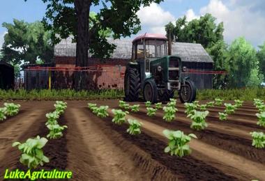 Janowo Kujawsko Pomorskie v1