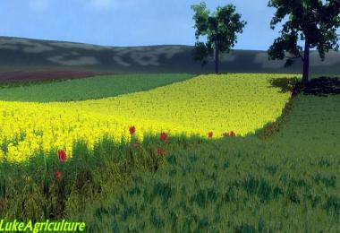 Janowo Kujawsko Pomorskie v1