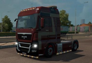 MAN TGX 07 Skin