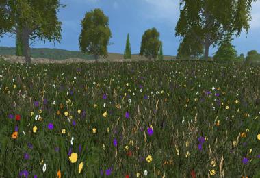 New grass texture