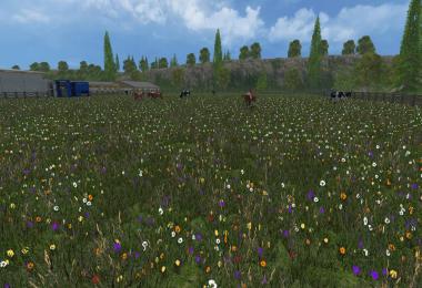 New grass texture