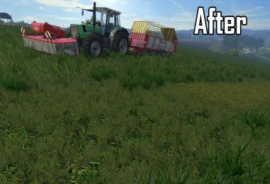 Updated Cut Grass