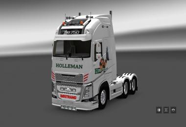 Volvo FH 2013 by Ohaha Holleman Skin