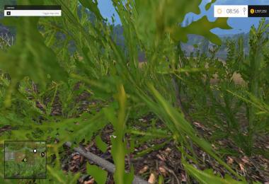 Ford f-250 lariat 6.4  v2