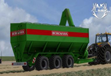 Bergmann GTW430 V4.2