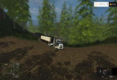 Cat Truck Actual Truck