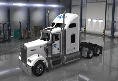 DC-USA Truck W900 Skin for ATS v1