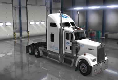DC-USA Truck W900 Skin for ATS v1