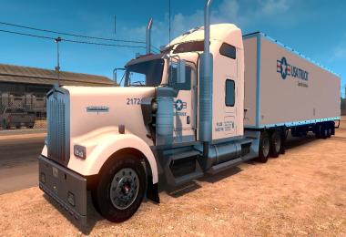 DC-USA Truck W900 Skin for ATS v1