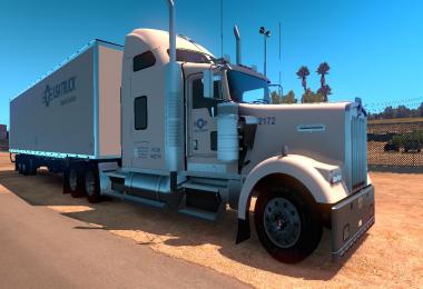 DC-USA Truck W900 Skin for ATS v1