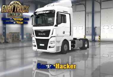 MAN TGX E6 DMDE Skin v1.0