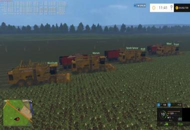 Ropa Euro Tiger Set v1.1