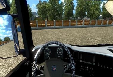 Scania Interior edit