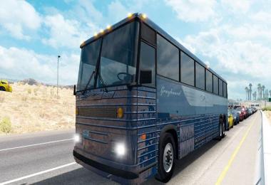 Skin Greyhound Bus
