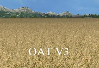 OAT TEXTURE v3.0
