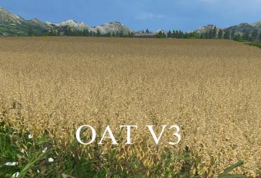 OAT TEXTURE v3.0