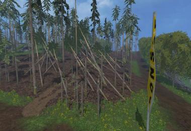Pine trees with marks v0.9.2