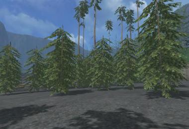 Pine trees with marks v0.9.2