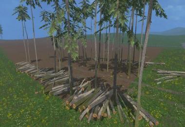 Pine trees with marks v0.9
