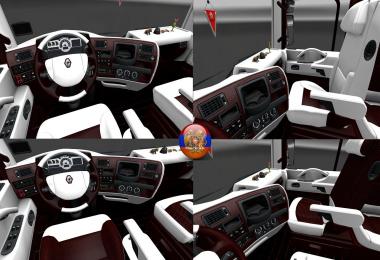 Renault Magnum Irina Shake Combo Skin