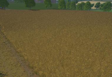 Weizen Texture von Gerste und Raps v1.0