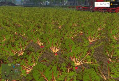 Elevages et cultures v2