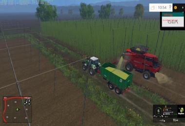 Altkirch in Alsace v1.0 Multifruit