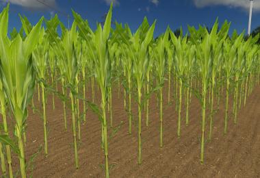 Nederland v2.1 by Mike