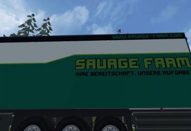 Schmitz Cargobull Set v1.1