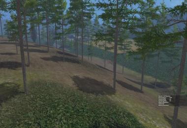 FOREST VILLAGE v1.0 Beta