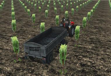 Pfalz Vineyards 2x v1.0