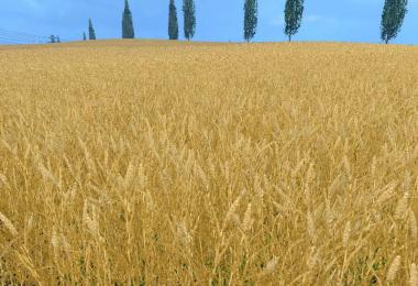 Weizen Texture von Gerste und Raps v3.0