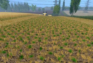 Weizen Texture von Gerste und Raps v3.0