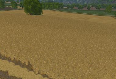 Weizen Texture von Gerste und Raps v3.0