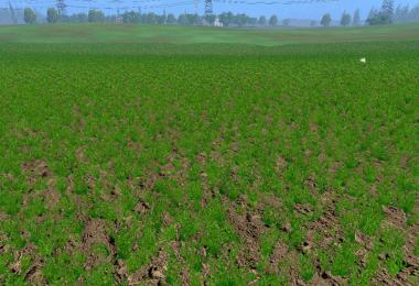 Weizen Texture von Gerste und Raps v3.0