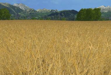 Weizen Texture von Gerste und Raps v3.0