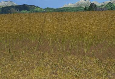 Weizen Texture von Gerste und Raps v3.0