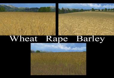 Weizen Texture von Gerste und Raps v3.0