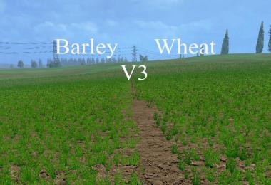 Weizen Texture von Gerste und Raps v3.0