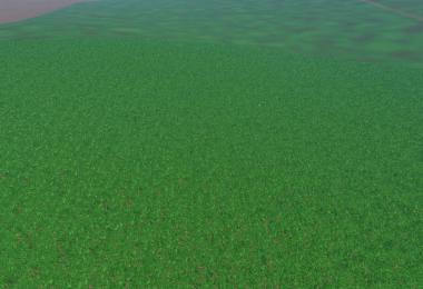 Weizen Texture von Gerste und Raps v3.0