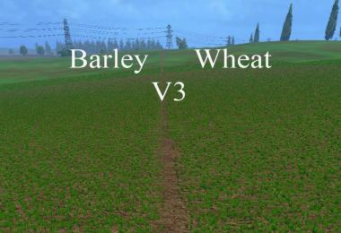 Weizen Texture von Gerste und Raps v3.0