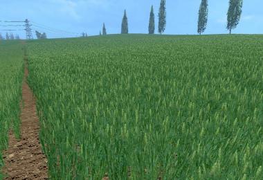 Weizen Texture von Gerste und Raps v3.0