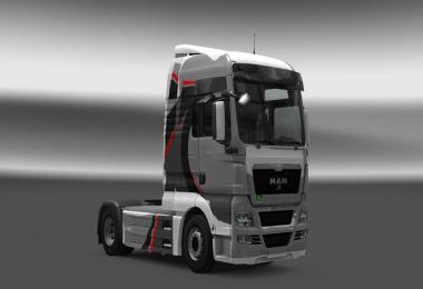 MAN TGX Grey Skin