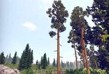 Beautiful screen summer graphics v2