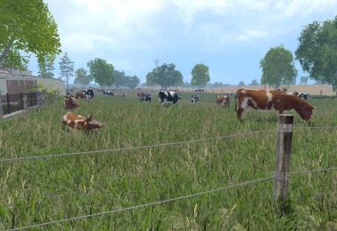 MODELS COWS v3.0